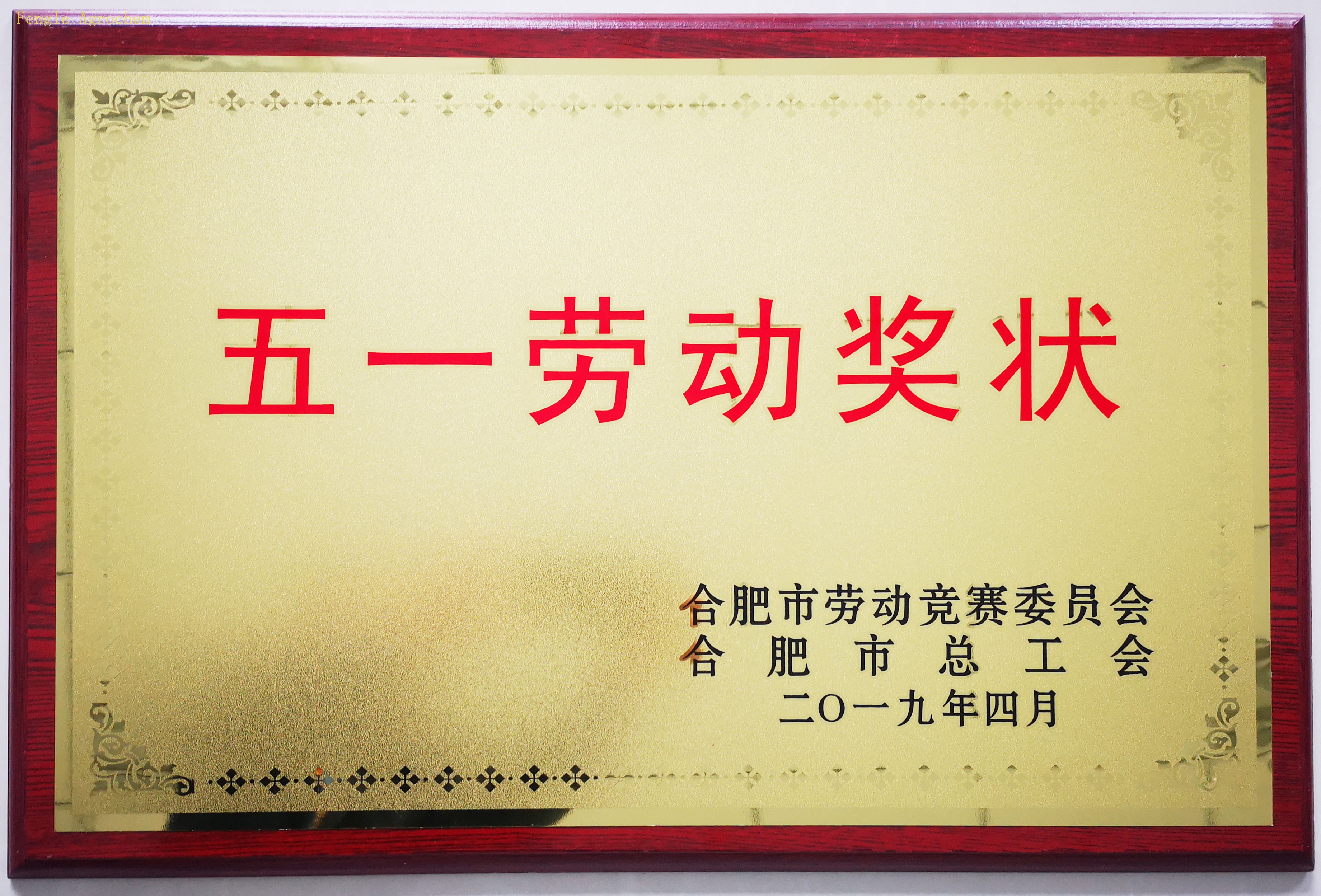 抖圈-抖圈为赌而生